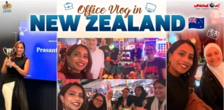 Balancing Work, Fun, and Success A Day in the Life of a Telugu Software Engineer in NZ