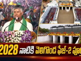 CM Chandrababu Announces Veligonda Project Phase-2 To Be Completed By 2028