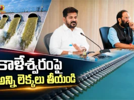 CM Revanth Reddy Directs Officials, Lift Maximum Utilisation of Godavari Waters