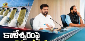 CM Revanth Reddy Directs Officials, Lift Maximum Utilisation of Godavari Waters