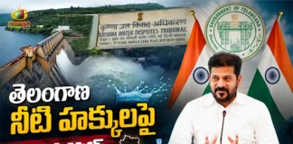 CM Revanth Reddy Directs Officials To Present Strong Arguments Before KWDT-II
