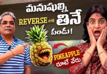 Did You Know These Mind-Blowing Facts About Pineapple