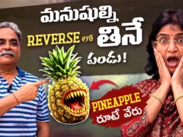 Did You Know These Mind-Blowing Facts About Pineapple