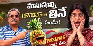 Did You Know These Mind-Blowing Facts About Pineapple