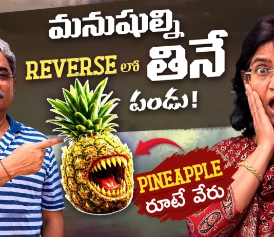 Did You Know These Mind-Blowing Facts About Pineapple