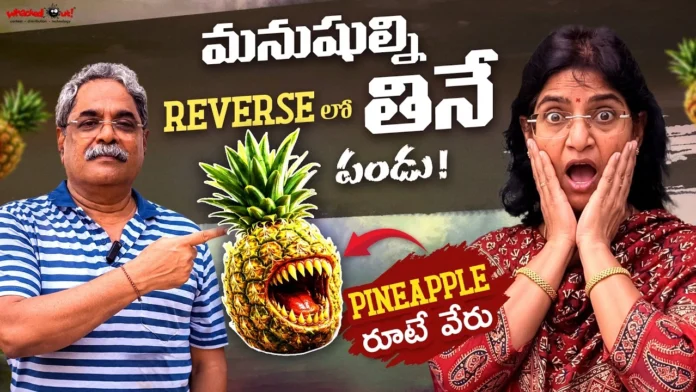 Did You Know These Mind-Blowing Facts About Pineapple Did You Know These Mind-Blowing Facts About Pineapple