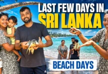 Planning a Sri Lanka Trip Don’t Miss These Hidden Travel Truths