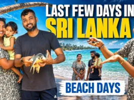 Planning a Sri Lanka Trip Don’t Miss These Hidden Travel Truths