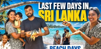 Planning a Sri Lanka Trip Don’t Miss These Hidden Travel Truths