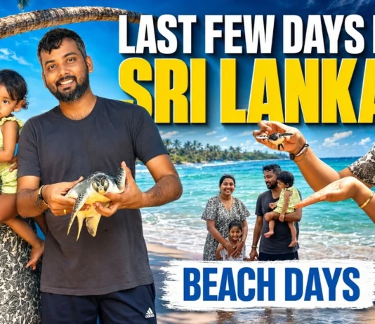 Planning a Sri Lanka Trip Don’t Miss These Hidden Travel Truths
