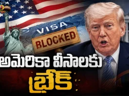 US Visa Appointments Put on Hold Globally Amid New Immigration Screening Measures