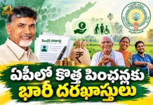‘ఎన్టీఆర్ భరోసా’ పింఛన్లకు 13.65 లక్షల దరఖాస్తులు.. ఆరంచెల పరిశీలన ప్రక్రియ పూర్తి AP Govt Reviewed Over 13.65 Lakh New Pension Applications Under Six-Step Verification