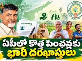 AP Govt Reviewed Over 13.65 Lakh New Pension Applications Under Six-Step Verification