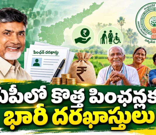 AP Govt Reviewed Over 13.65 Lakh New Pension Applications Under Six-Step Verification
