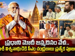 CM Chandrababu Offered Special Prayers at Kashi Vishwanath Temple on PM Modi's 76th Birthday