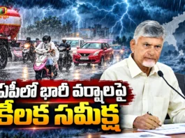CM Chandrababu Reviews and Issues Key Directives To Collectors During Heavy Rains in AP