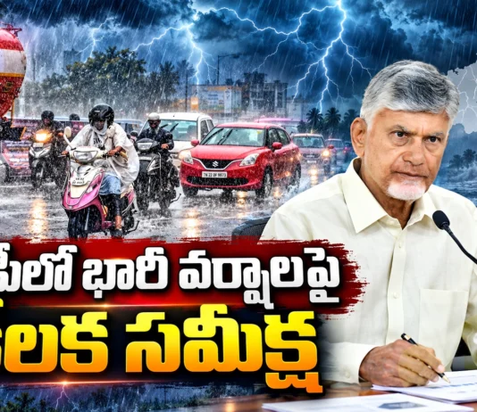 CM Chandrababu Reviews and Issues Key Directives To Collectors During Heavy Rains in AP
