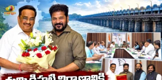 CM Revanth Reddy Meets Jal Shakti Minister CR Patil To Secure Maharashtra Nod For Tummidihatti