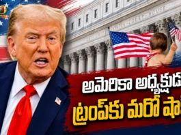 President Donald Trump’s New Birthright Citizenship Curbs Halted By US Federal District Court