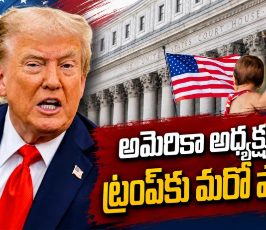 President Donald Trump’s New Birthright Citizenship Curbs Halted By US Federal District Court