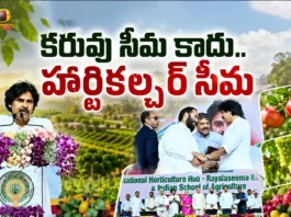 AP Dy CM Pawan Kalyan Says, Rayalaseema Will Be Known For Global Horticulture Hub