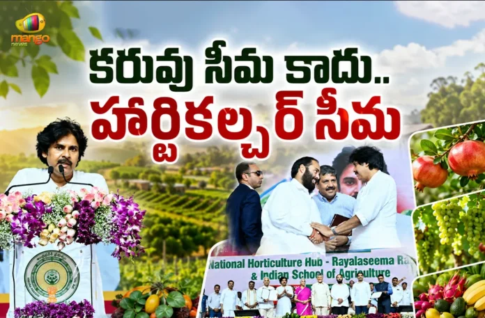 AP Dy CM Pawan Kalyan Says, Rayalaseema Will Be Known For Global Horticulture Hub