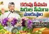 CM Chandrababu Launches Rayalaseema Horticulture Hub Project With Rs.1 Lakh Cr in Madanapalle
