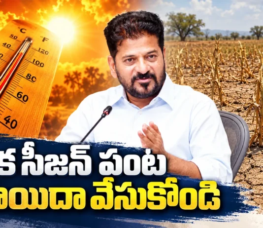 CM Revanth Reddy Warns of El Niño Impact, Urges Farmers To Postpone One Crop Season