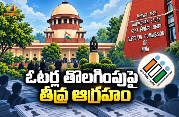 SC Questions CEC Over Deleted Voter Names and Delayed Applications