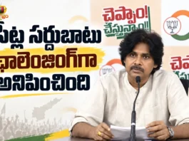 AP Dy CM Pawan Kalyan Credits CM Chandrababu For Smooth Seat Sharing of Alliance in Local Polls