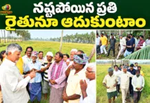 CM Chandrababu Assures Financial Aid For Every Cyclone Victim Farmer