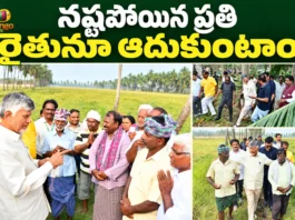 CM Chandrababu Assures Financial Aid For Every Cyclone Victim Farmer