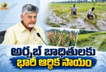 CM Chandrababu Assures Full Support To Cyclone Arnab Victims and Affected Farmers